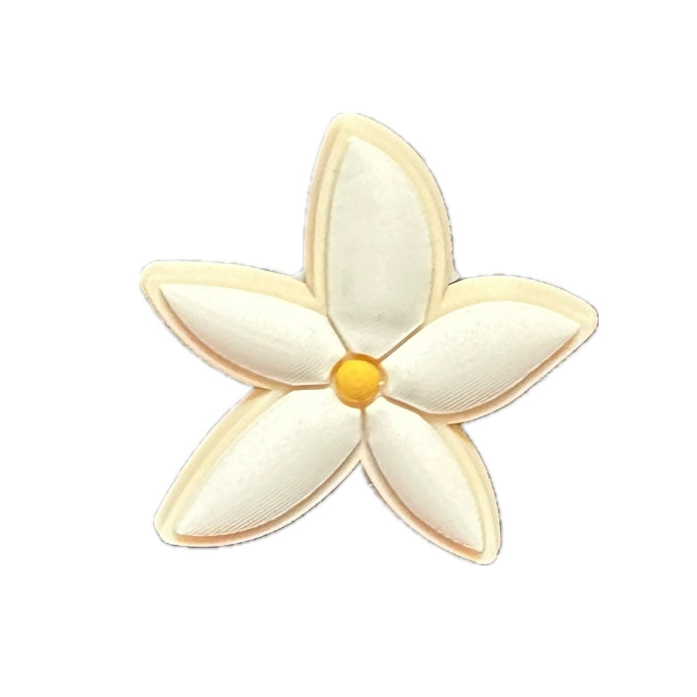 Tropical Plants/ Flowers